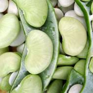 Фасоль Лимская за 10 г