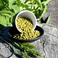 Фасоль Маш за 5 г