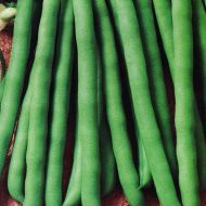 Фасоль Приусадебная за 10 г