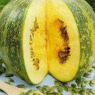 Тыква Голосемянная