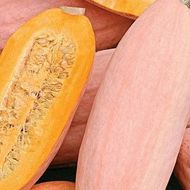 Тыква Розовый банан за 2 г