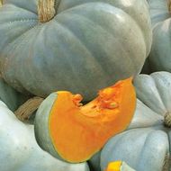 Тыква Зимняя сладкая