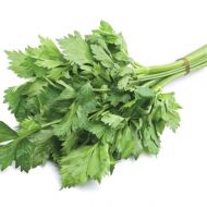 Сельдерей листовой за 0,2 г