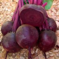 Свекла столовая Кестрел F1 за 2 г