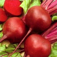 Свекла столовая Бордо