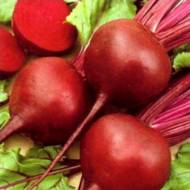 Свекла столовая Бордо