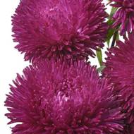 Айстра Аметист за 0,2 г