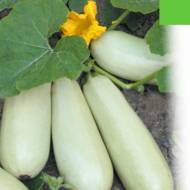 Кабачок Ролик