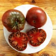 Томат Гном Тасманский шоколад за 10 сем.