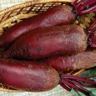 Свекла столовая Цилиндра