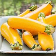 Кабачок Оранжевое чудо за 20 г