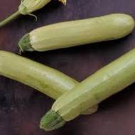 Кабачок Аймаран F1 за 5 сем.
