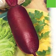 Свекла столовая Риваль