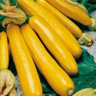 Кабачок Светозар