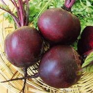 Свекла столовая Мулатка