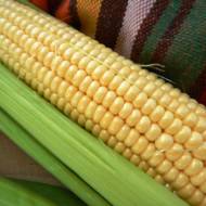Кукуруза сахарная Дейнерис F1