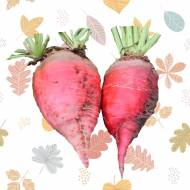 Свекла кормовая Киевский розовый за 30 г