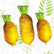 Свекла кормовая Победитель  за 30 г