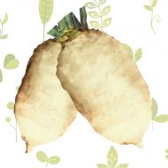 Свекла кормовая Центаур