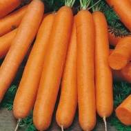 Морковь Монтана за 2 г