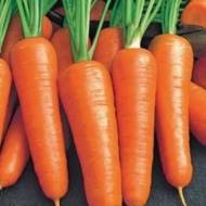 Морковь Шансон супер