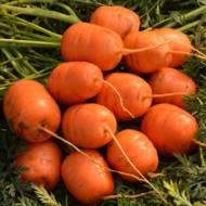 Морковь Парижский рынок за 500 сем.