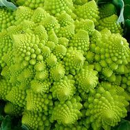 Капуста Романеско за 0,05 г