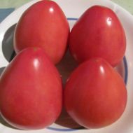 Томат Фатима за 0,1 г