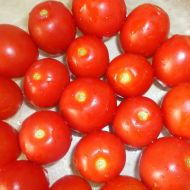 Томат Чумак за 0,1 г
