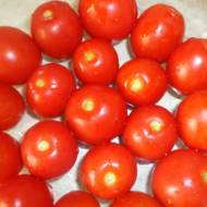 Томат Чумак за 0,1 г