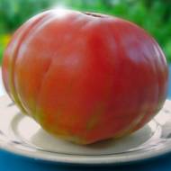 Томат Бабушкин секрет за 0,1 г