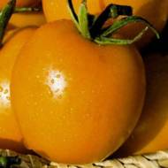 Томат Жираф за 0,1 г