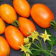 Томат Банан оранжевый за 0,1 г