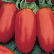 Томат Банан красный за 0,1 г