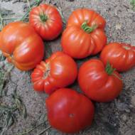 Томат Безразмерный розовый за 0,1 г