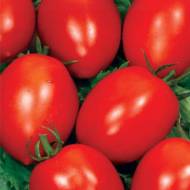 Томат Искорка за 0,2 г