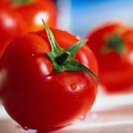 Томат Белый налив за 0,1 г