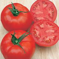 Томат Катюша F1 за 0,1 г