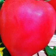 Томат Буденовка розовая за 0,1 г