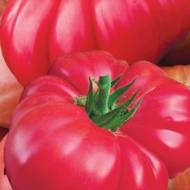 Томат Медвежья лапа розовый за 0,1 г