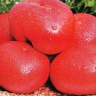 Томат Корнеевский розовый за 0,1 г