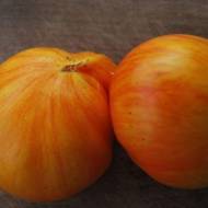 Томат Королевская красота за 0,1 г