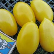 Томат Кремовая сосиска за 0,1 г