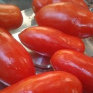 Томат Дамские пальчики за 0,1 г