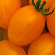 Томат Де барао оранжевый за 0,1 г