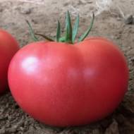 Томат Малиновый мишка за 0,1 г