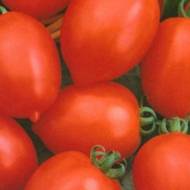 Томат Надежда Тарасенко за 0,1 г