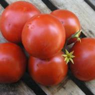 Томат Отранто F1 за 10 сем.