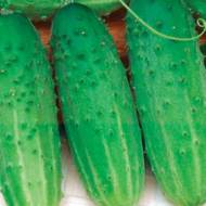 Огурец Веселые бабочки за 0,5 г