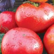 Томат Райское наслаждение за 0,1 г